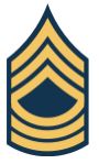 Abzeichen Master Sergeant